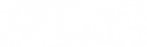 Linz-Logo-1c-weiss